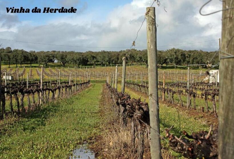 هتل Rural Da Ameira