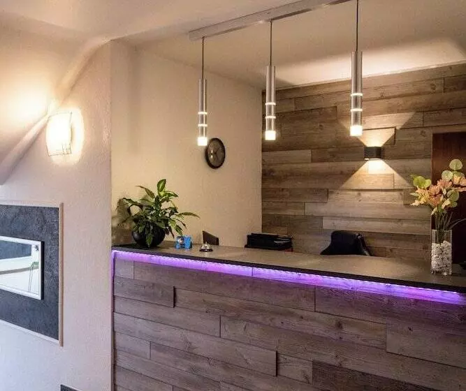 Отель Schmidt Garni