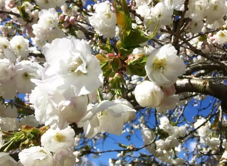 민박 Chatton Park House Adult Only