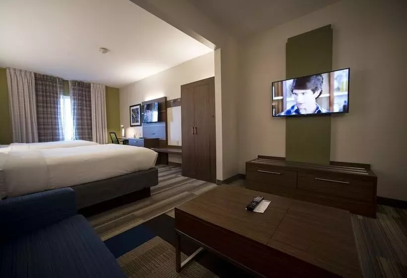 Holiday Inn Express Hotel & Suites Lexington Downtown University, An Ihg