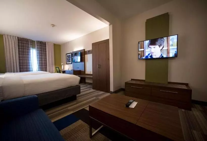 Holiday Inn Express Hotel & Suites Lexington Downtown University, An Ihg