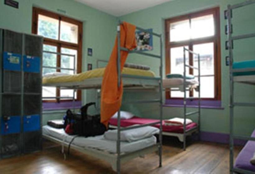 فندق فئة نجمة واحدة Funny Farm Backpackers