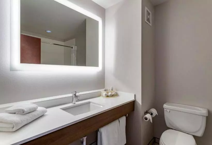 Holiday Inn Express Hotel And Suites Natchitoches, An Ihg