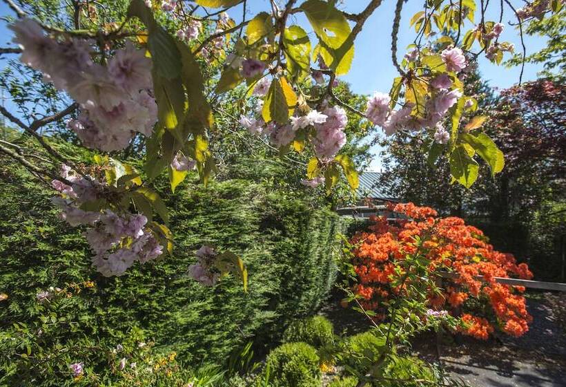 酒店 Windermere Suites