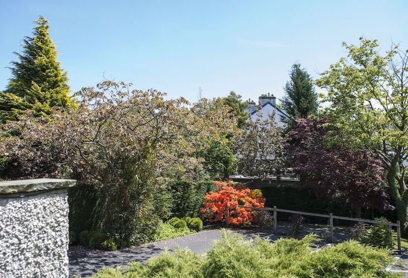 酒店 Windermere Suites