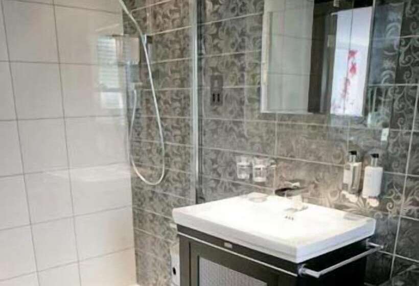 酒店 Windermere Suites