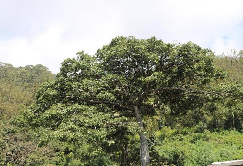 فندق صغير Queens Rest Inn