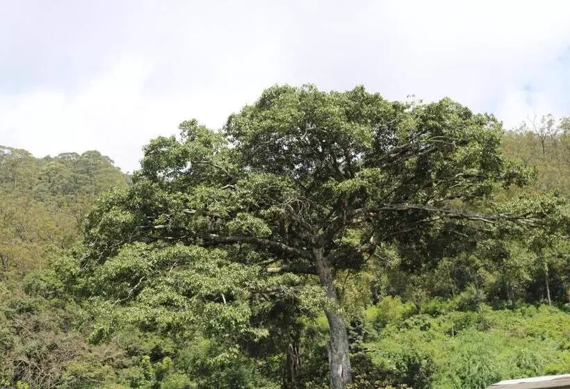 ユースホステル Queens Rest Inn