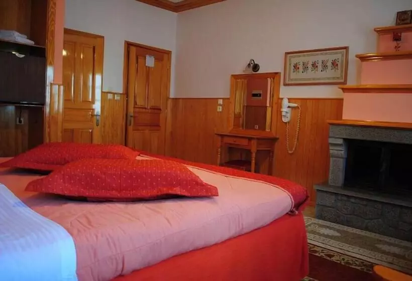 Hotel Asteri Metsovou