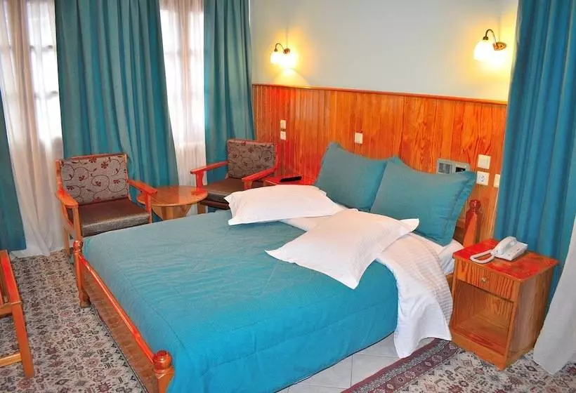 Hotel Asteri Metsovou