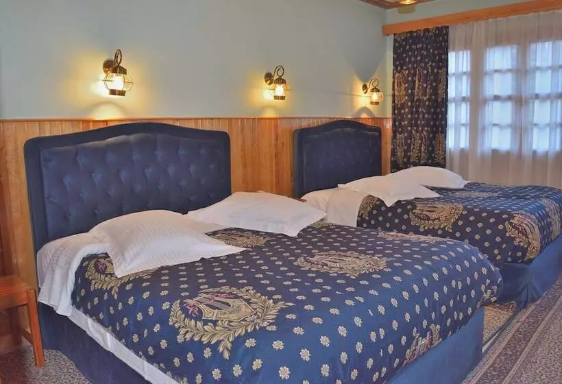 Hotel Asteri Metsovou