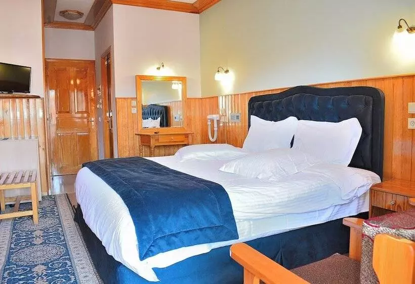 Hotel Asteri Metsovou