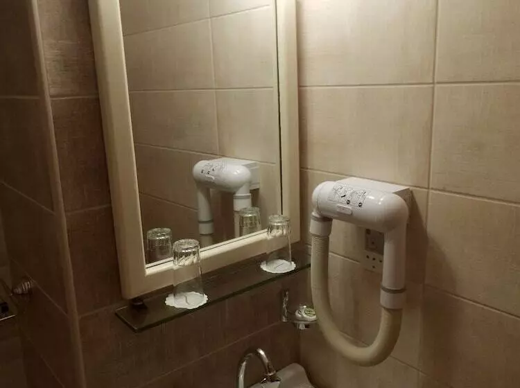 Hotel Asteri Metsovou