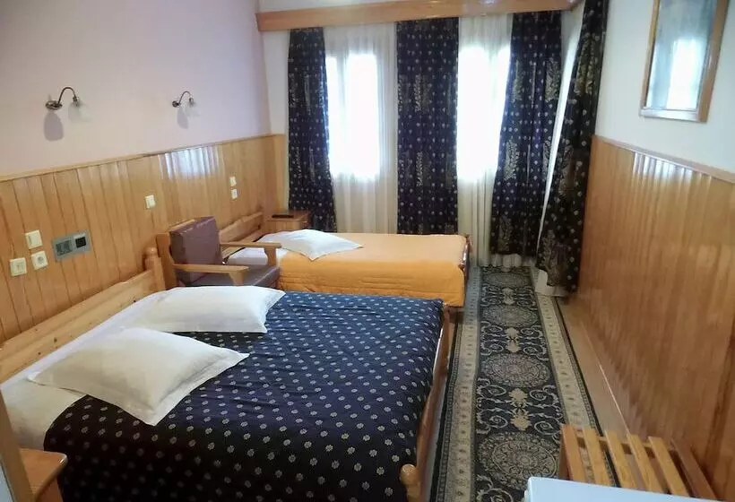 Hotel Asteri Metsovou