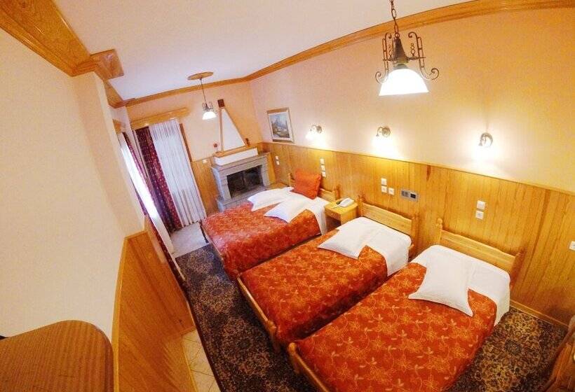 בית מלון כפרי Asteri Metsovou