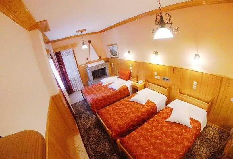 Hotel Asteri Metsovou