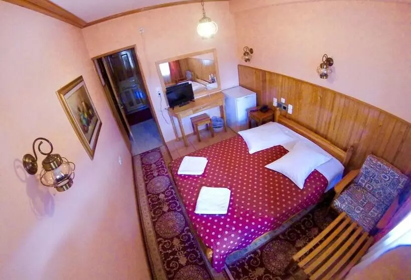 Hotel Asteri Metsovou