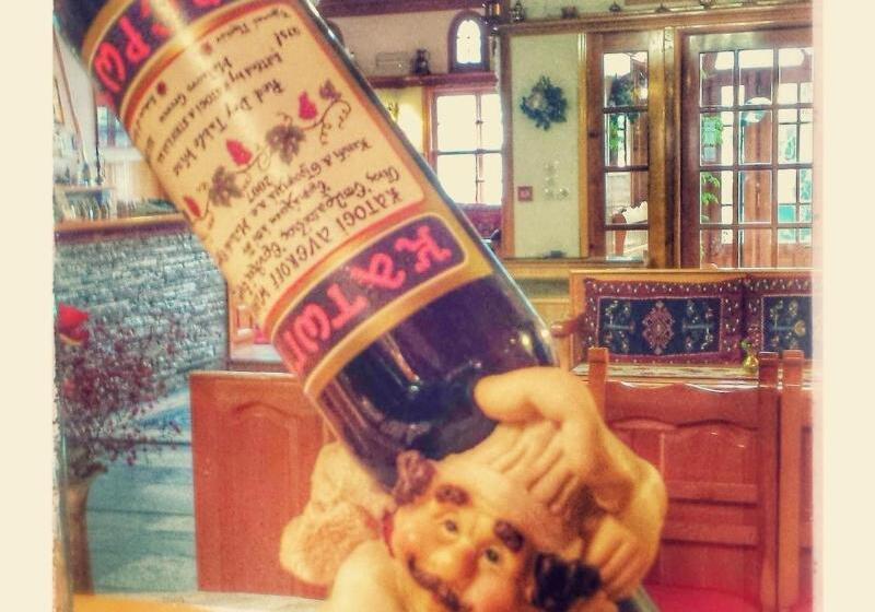 בית מלון כפרי Asteri Metsovou