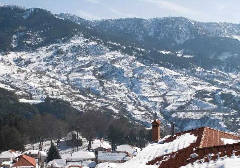 Hotel Asteri Metsovou