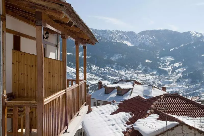 Hotel Asteri Metsovou