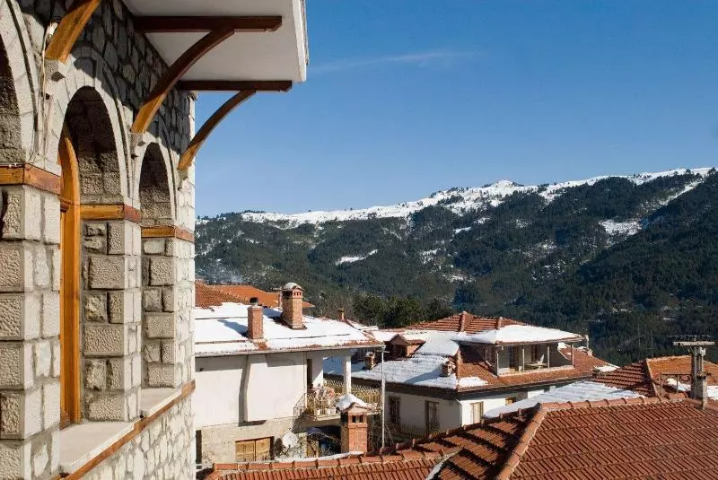 Hotel Asteri Metsovou