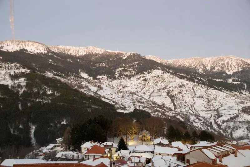 Hotel Asteri Metsovou