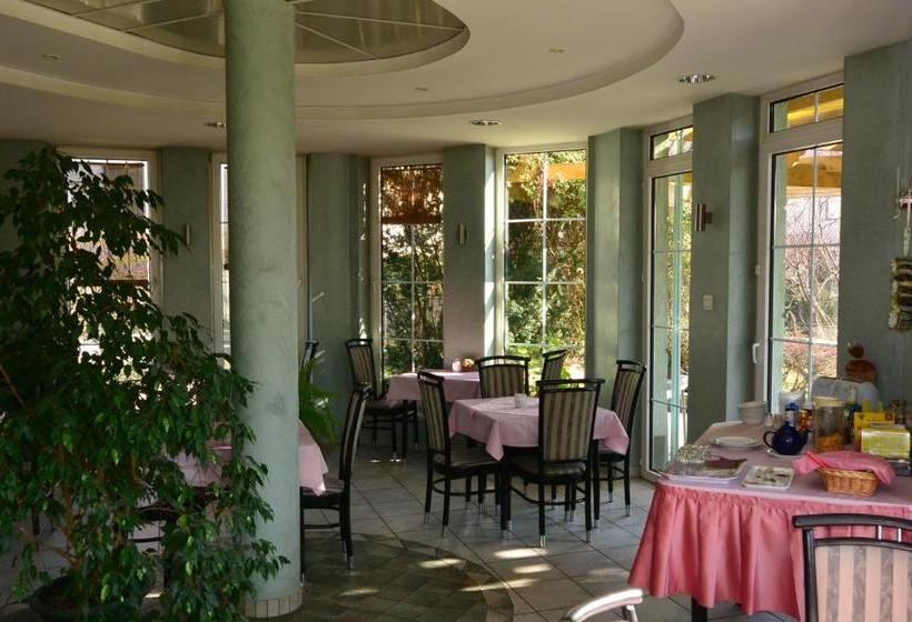 Hotel Belle Fleur Panzio