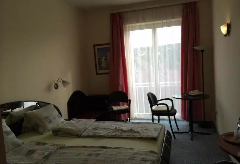 Hotel Belle Fleur Panzio