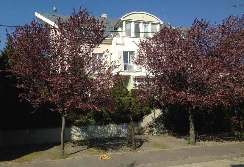 Hotel Belle Fleur Panzio