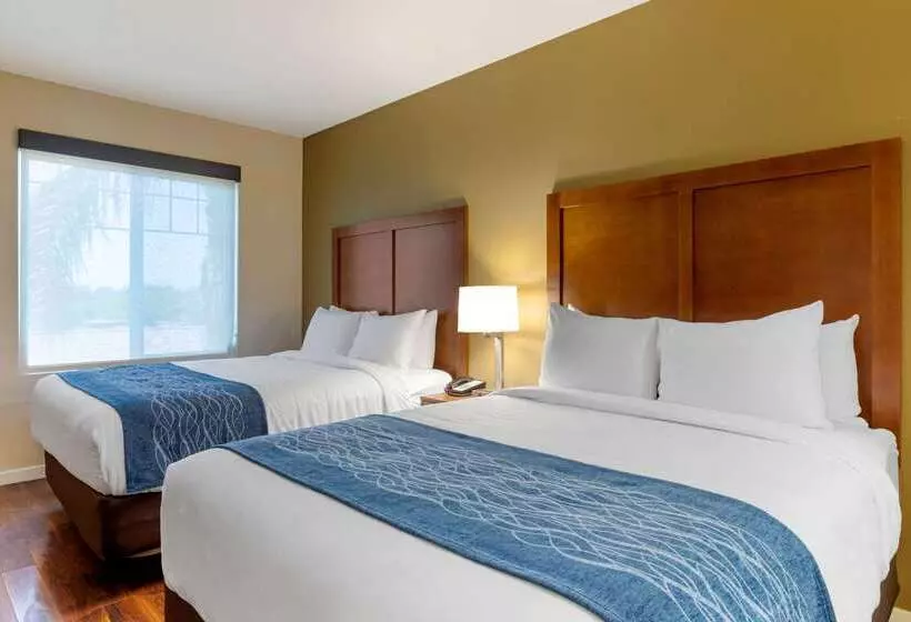 Отель Comfort Inn & Suites Near Ontario Airport