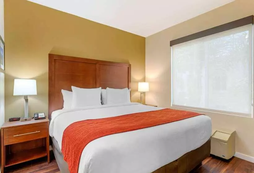 Отель Comfort Inn & Suites Near Ontario Airport