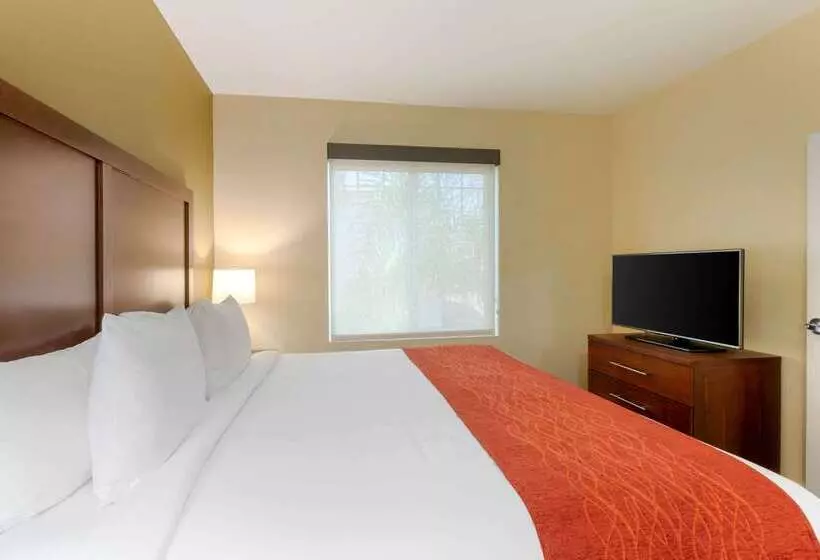 Отель Comfort Inn & Suites Near Ontario Airport