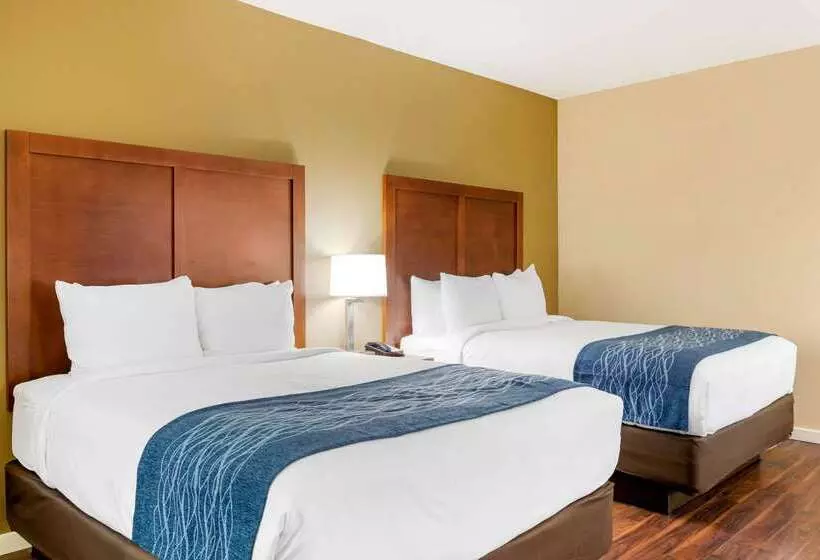 Отель Comfort Inn & Suites Near Ontario Airport