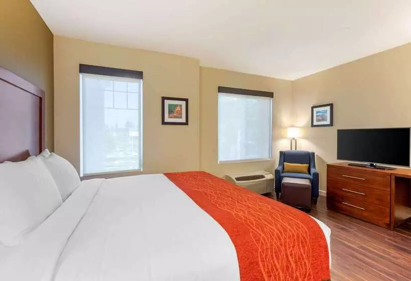 Отель Comfort Inn & Suites Near Ontario Airport