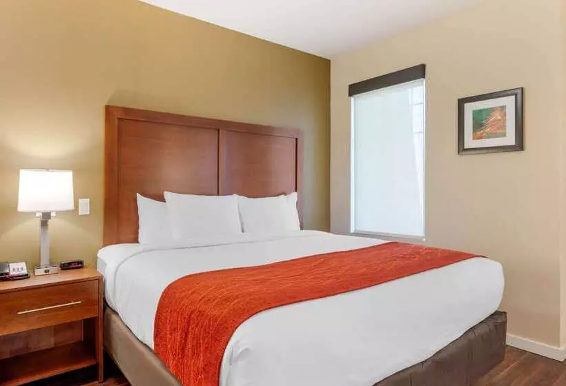 Отель Comfort Inn & Suites Near Ontario Airport