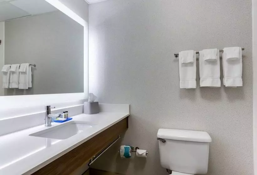 Holiday Inn Express Hotel & Suites Harrison By Ihg