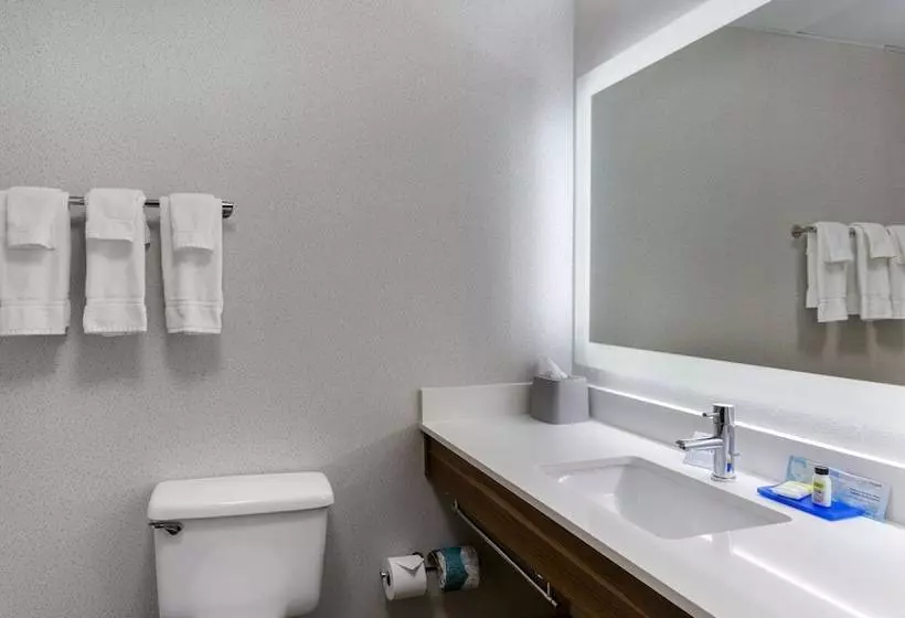 Holiday Inn Express Hotel & Suites Harrison By Ihg