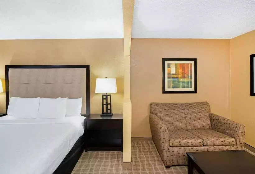 호텔 La Quinta Inn & Suites By Wyndham Hot Springs