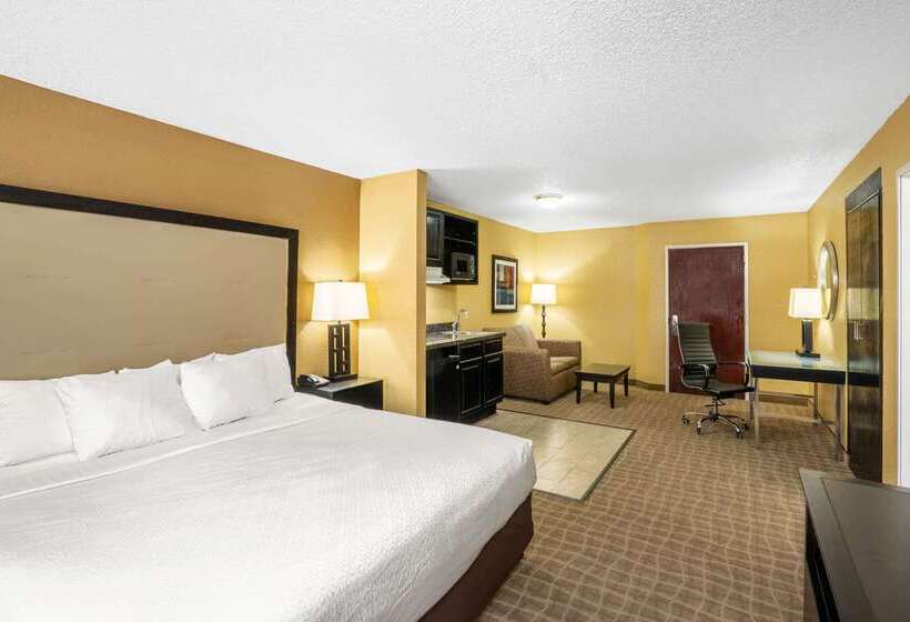 酒店 La Quinta Inn & Suites By Wyndham Hot Springs