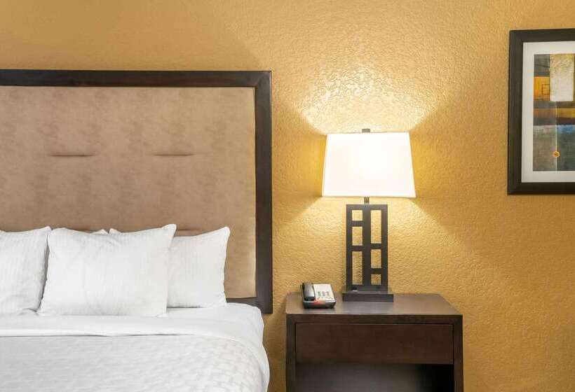 酒店 La Quinta Inn & Suites By Wyndham Hot Springs