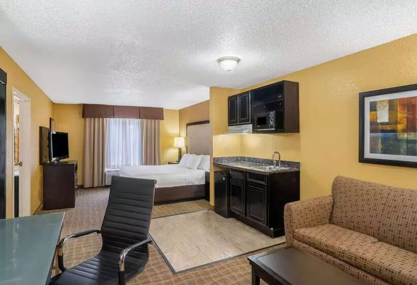 호텔 La Quinta Inn & Suites By Wyndham Hot Springs