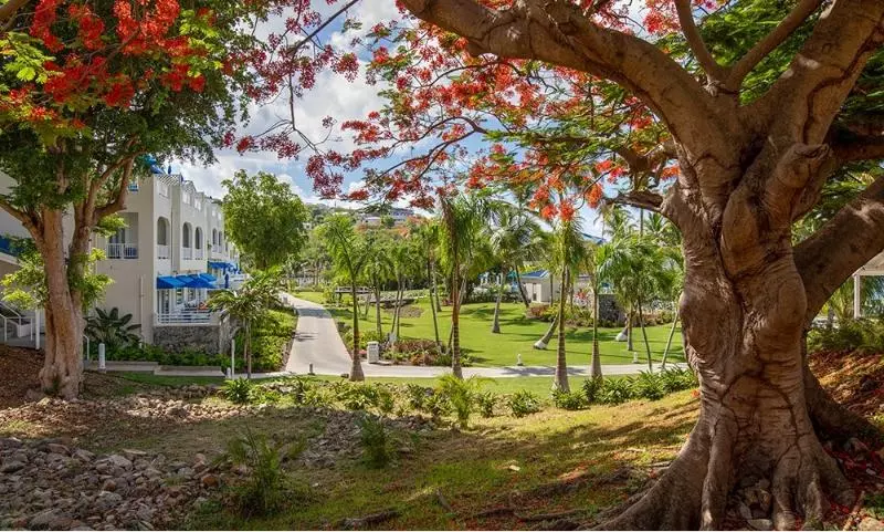 هتل Limetree Beach Resort By Club Wyndham