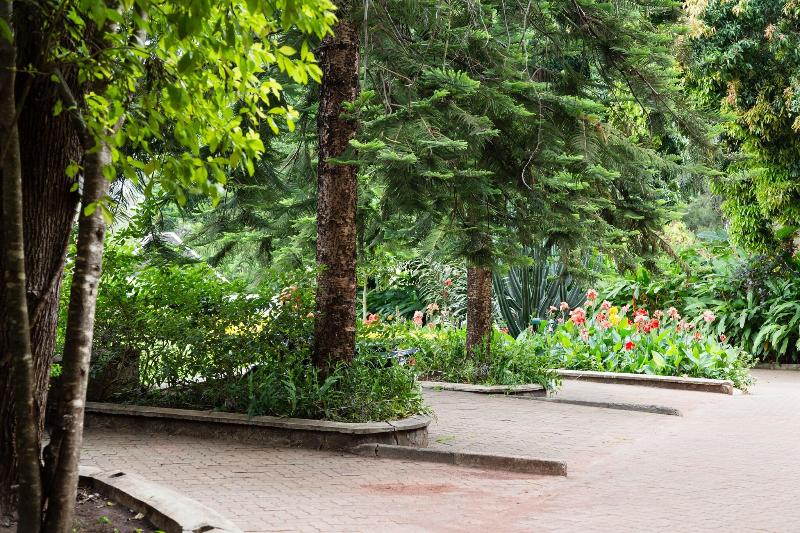 호텔 Aishi Machame