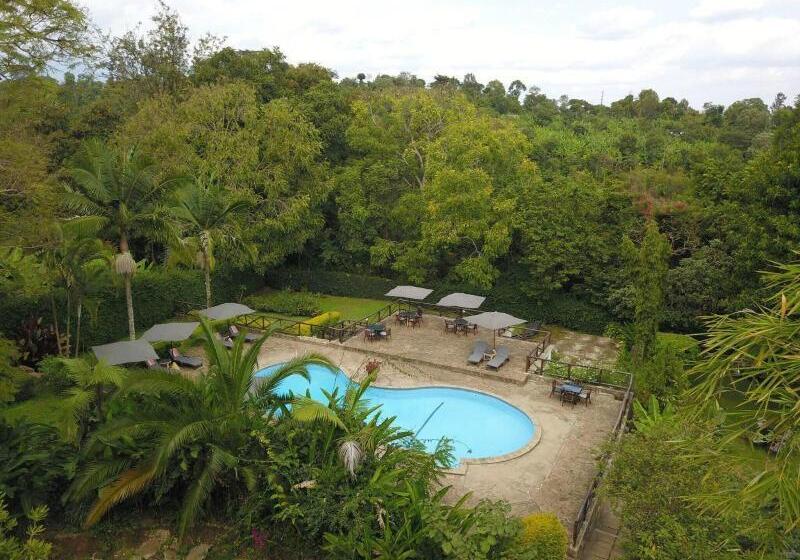 호텔 Aishi Machame