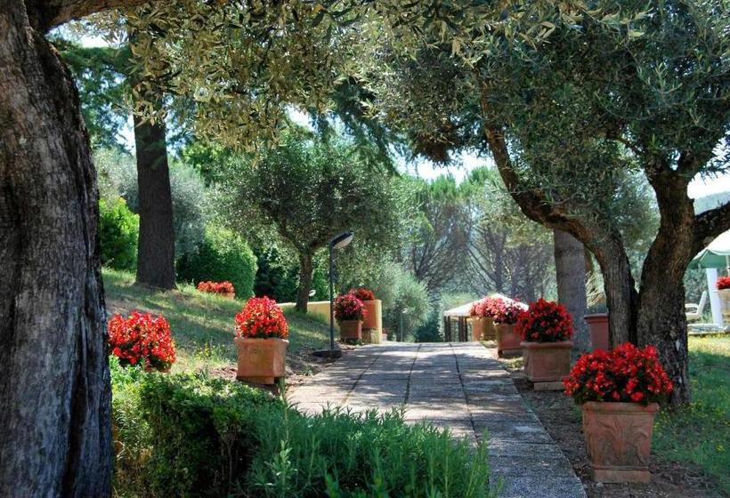 Bed And Breakfast Albe