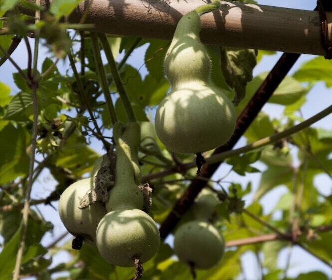 Отель Fairmont Yangcheng Lake