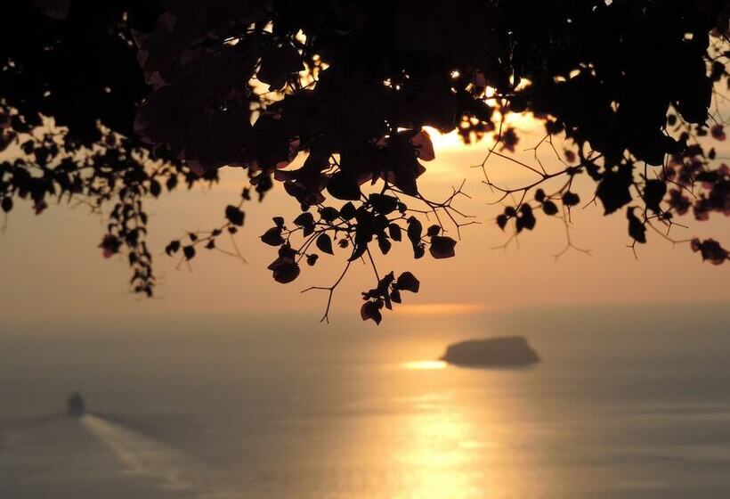 هتل Nautilus Dome