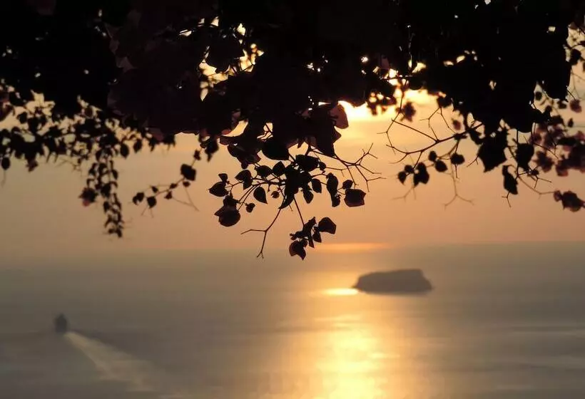 هتل Nautilus Dome