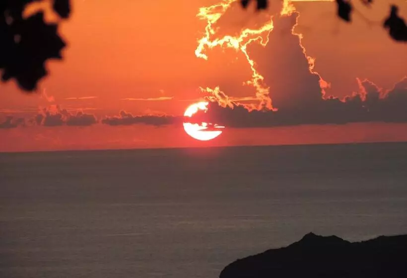 هتل Nautilus Dome