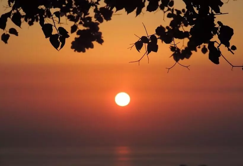 هتل Nautilus Dome